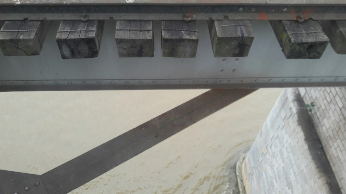 Anh: Gioi tre len cau Long Bien chup anh bat chap bien cam-Hinh-11