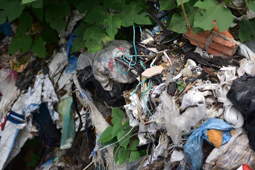 Ly do nguoi dan Ha Noi 