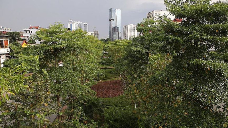 Đường Văn Cao trong khoảng 3 năm trở lại đây cũng được chăm chút với nhiều cây xanh được trồng mới.
