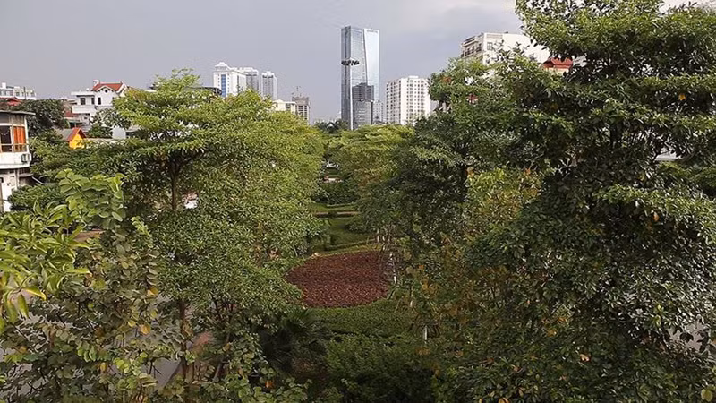 Đường Văn Cao trong khoảng 3 năm trở lại đây cũng được chăm chút với nhiều cây xanh được trồng mới.