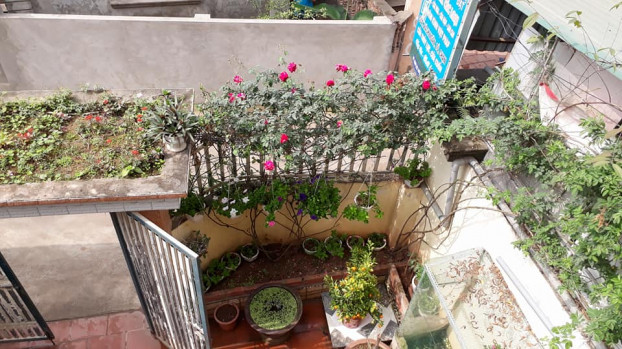 Chi co 70 trieu, toi mua nha dat o Ha Noi nhu the nao?-Hinh-3