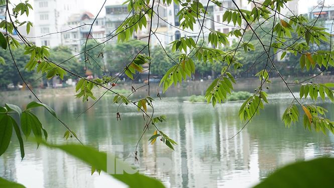 Hiện nay trong khu dân cư còn có rất nhiều hồ nước, nơi đây được ví như những cỗ máy điều hòa khổng lồ làm giảm đi cái oi bức cùng trời nắng như đổ lửa.