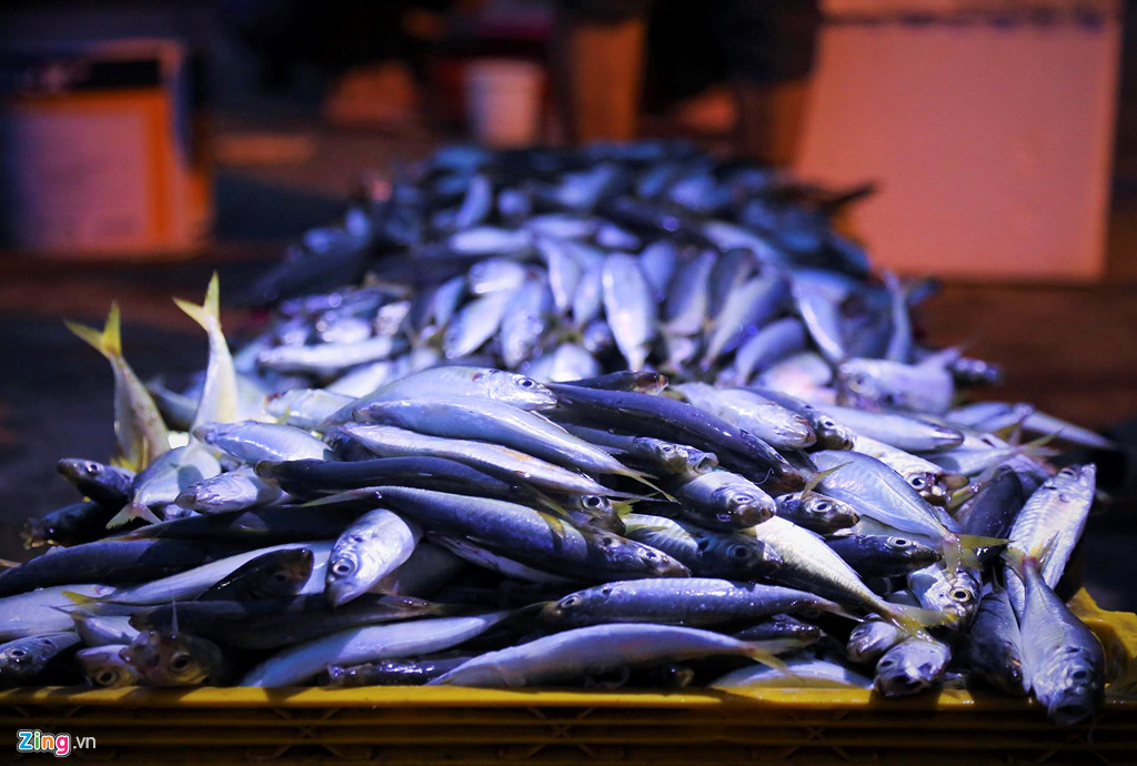 Dù thu nhập có phần bấp bênh so với những nghề khác, nhưng ngày ngày những người phụ nữ đội cá vẫn gặp nhau trên bến cảng.