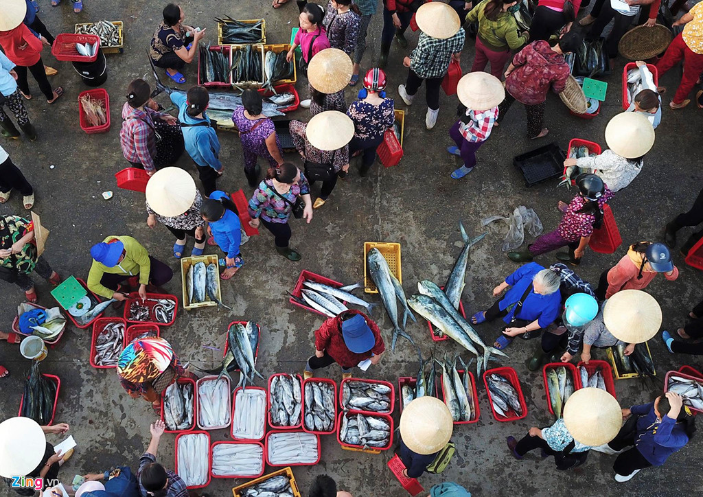 Những khay hải sản đủ loại, tươi ngon, nhiều loại còn sống được bày bán ngay trên khu vực cảng.