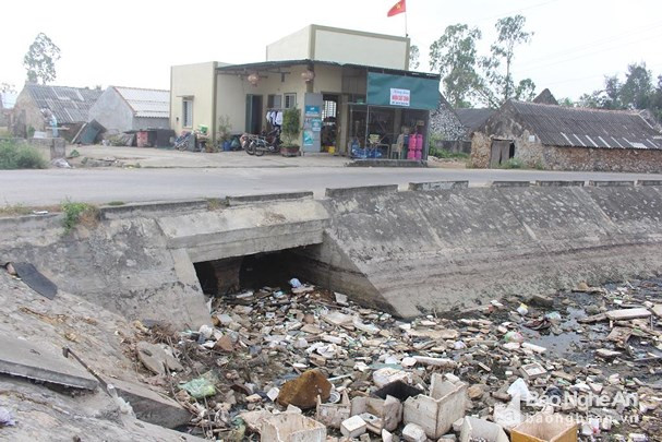 Rác theo thủy triều dạt vào bịt cống tiêu úng của người dân xã Quỳnh Thuận - Quỳnh Lưu. Ảnh: P.V