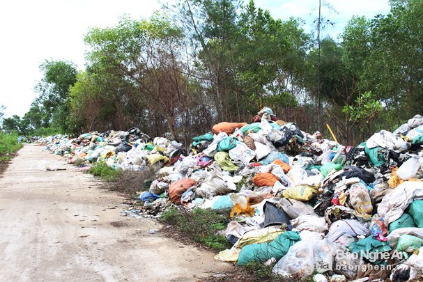 Các xã vùng ven biển Quỳnh Minh, Quỳnh Nghĩa 'tận dụng' đất trống ven đê biển để tập kết rác thải. Ảnh: P.V