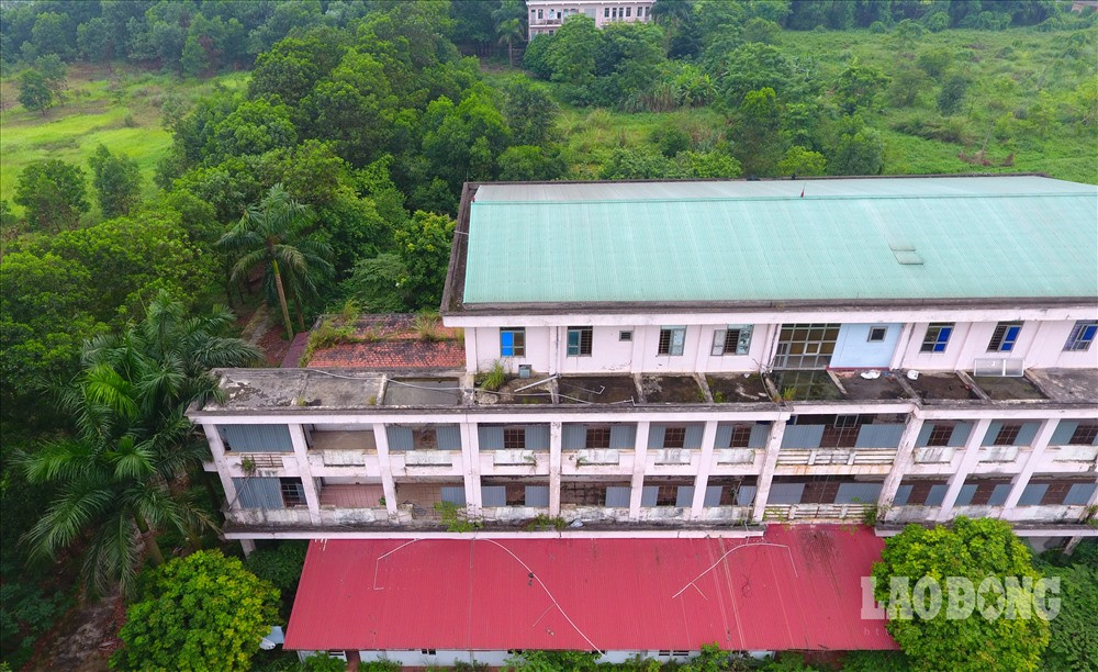 Những toà nhà hiện đại "nằm bất động" không ai ngó ngàng và bốc lên mùi ẩm mốc khó chịu.