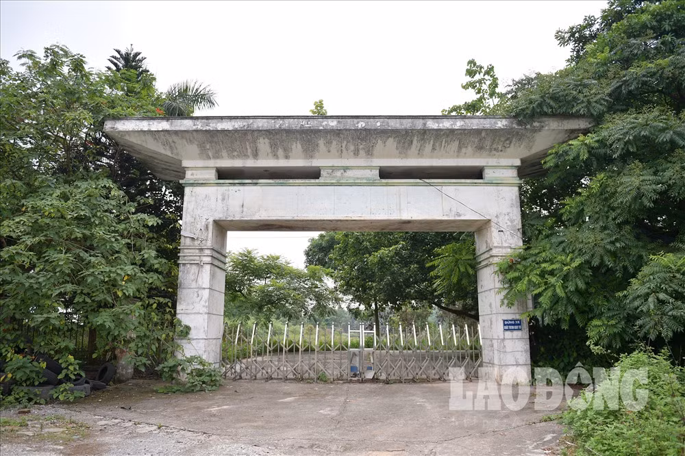 Toàn bộ diện tích và cơ sở hạ tầng, vật chất gần như bỏ hoang, gây lãng phí nghiêm trọng…