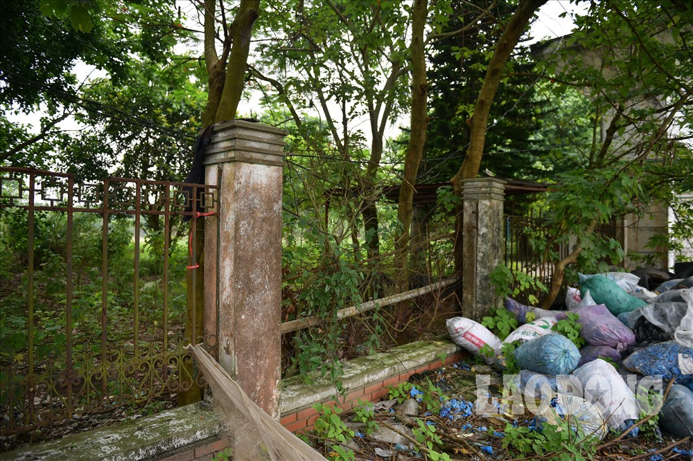 Rác thải ngập ngụa, lá cây phủ kín lối đi.