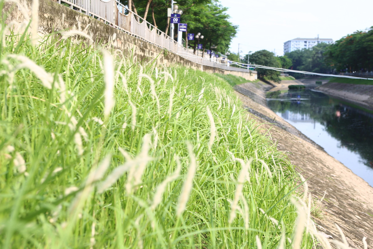 Với khung cảnh đẹp ven những bờ kè sông tạo nên không gian vô cùng đẹp bên dòng sông cho thấy sông Tô Lịch đang dần thay đổi từng ngày.