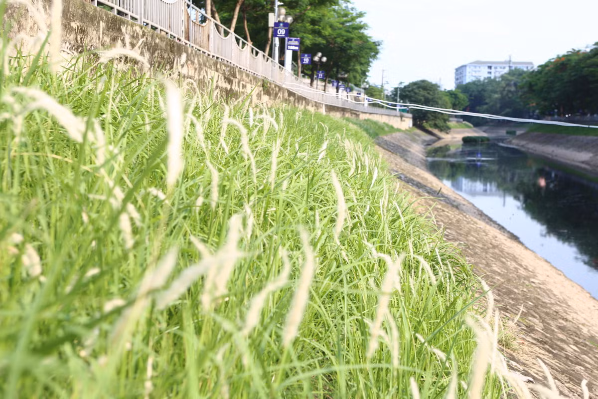 Với khung cảnh đẹp ven những bờ kè sông tạo nên không gian vô cùng đẹp bên dòng sông cho thấy sông Tô Lịch đang dần thay đổi từng ngày.