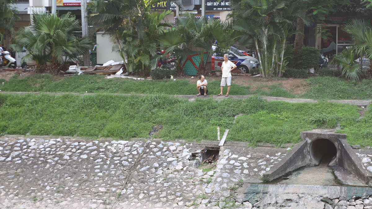 Theo chia sẻ của người sống quanh sông Tô Lịch cho biết gần đây mùi hôi thối nước sông giảm nhiều, màu nước cũng dần chuyển sang trong xanh hơn. Cùng với hàng lau mọc trắng xóa dọc hai bên bờ sông khiến nhiều người bất ngờ về sự thay đổi này.