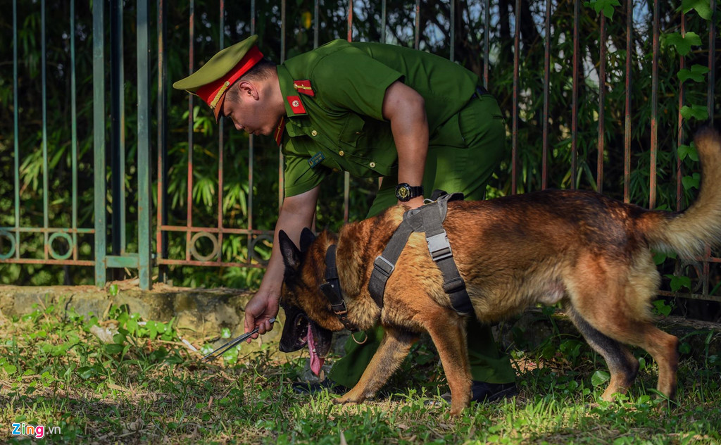Điều kiện thời tiết nắng nóng ảnh hưởng rất nhiều tới khả năng hoạt động của các chú cảnh khuyển. Trong phần thi tìm kiếm chất nổ trên bãi đất, chó nghiệp vụ được huấn luyện viên cho nghỉ ngơi vài phút rồi mới tiếp tục tranh tài.