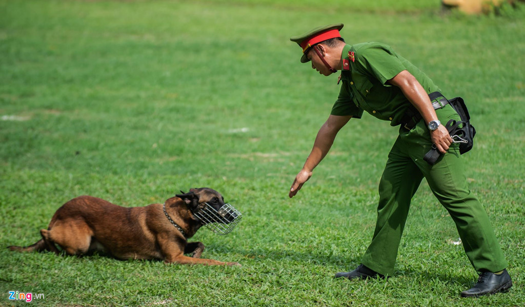 Một trong những tình huống tiếp cận "đối tượng" là động tác bò trườn.
