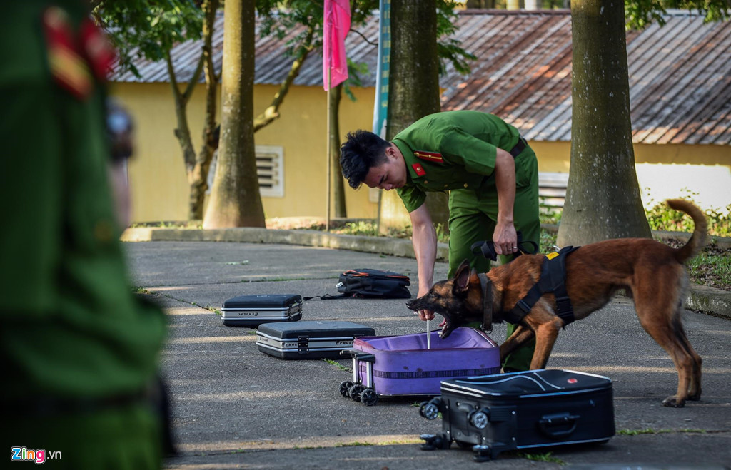 Một chú chó nghiệp vụ trong bài thi tìm kiếm ma túy, thông thường chỉ mất vài giây là có thể xác định chính xác chiếc vali có mang theo chất cấm. Khi phát hiện ma túy, chó nghiệp vụ sẽ sủa liên tục hoặc cào bới để báo hiệu.