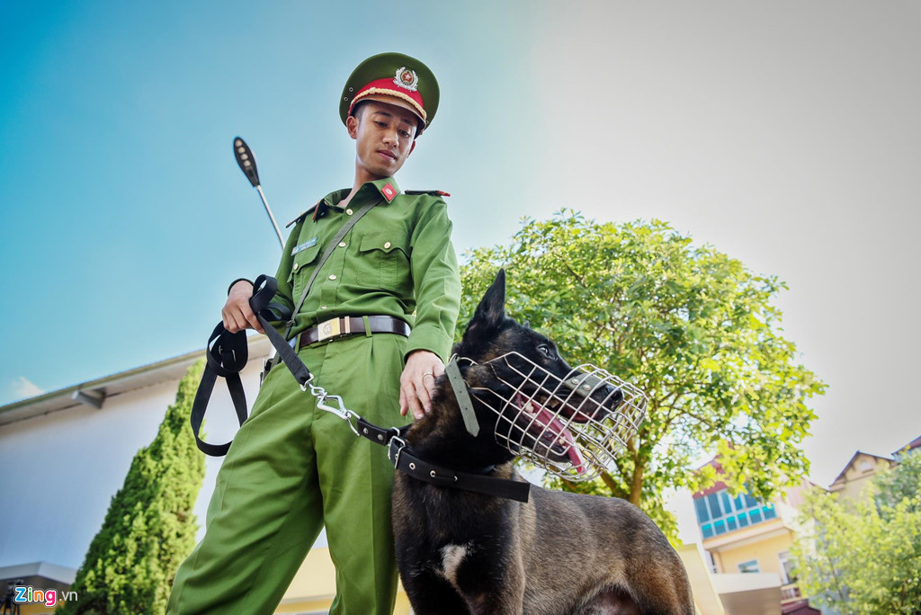 Tham dự vòng thi này có 60 huấn luyện viên và cảnh khuyển xuất sắc đã vượt qua 2 vòng thi sơ khảo trước đó. Họ đại diện cho 118 đơn vị công an và địa phương có sử dụng động vật nghiệp vụ trên cả nước.