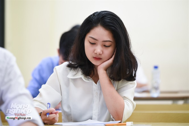 Để xét tuyển sinh ĐH, CĐ, TC thí sinh đã tốt nghiệp THPT phải dự thi các bài thi độc lập, bài thi tổ hợp hoặc các môn thi thành phần của bài thi tổ hợp, phù hợp với tổ hợp bài thi, môn thi xét tuyển vào ngành, nhóm ngành theo quy định của trường ĐH, CĐ, TC. (Ảnh: Tùng Đinh/ Nông thôn)
