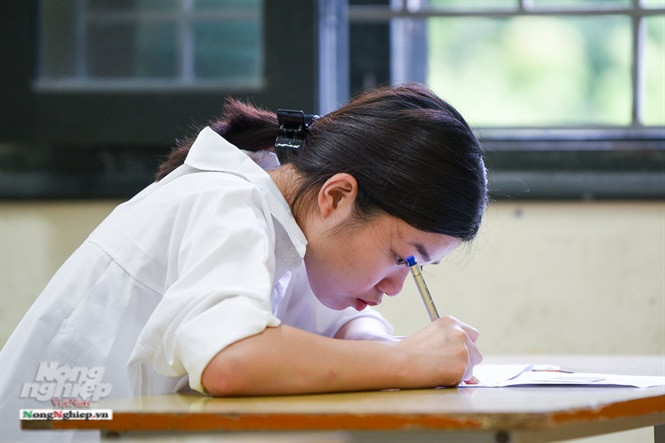 Trong đó, Khoa học Tự nhiên (tổ hợp các môn Vật lí, Hóa học, Sinh học), Khoa học Xã hội (tổ hợp các môn Lịch sử, Địa lí, Giáo dục công dân đối với thí sinh học chương trình Giáo dục THPT; tổ hợp các môn Lịch sử, Địa lí đối với thí sinh học chương trình GDTX cấp THPT). (Ảnh: Tùng Đinh/ Nông thôn)