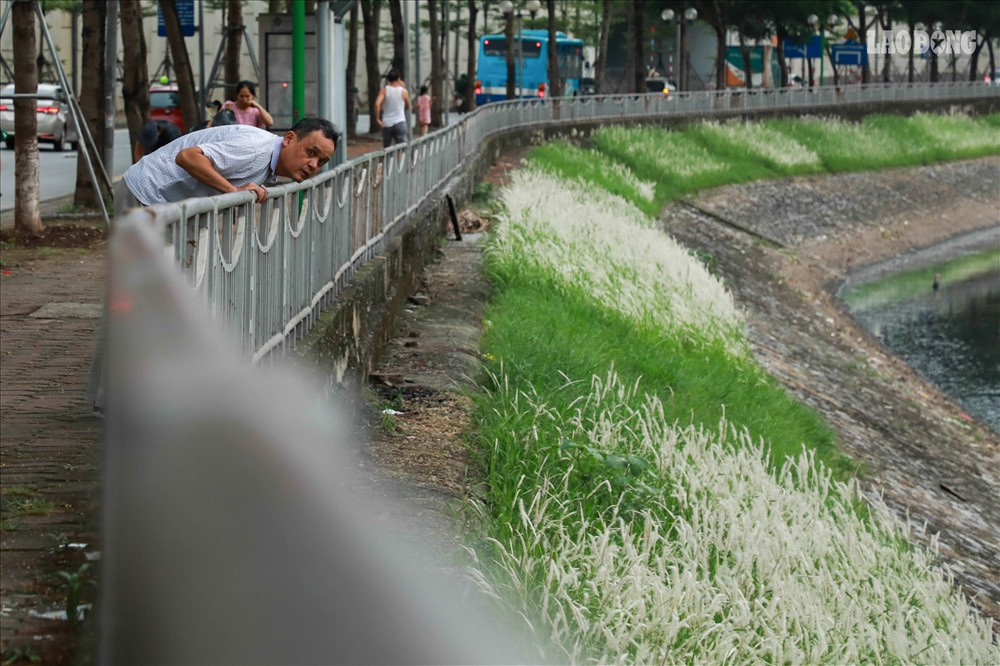 Ông Vũ Văn Toản (Hoàng Quốc Việt, Cầu Giấy) chia sẻ: "Trước lúc cải tạo sông này bẩn lắm, thối không ngửi nổi. Sạch được như thế là may rồi. Người dân chúng tôi sống ở đây mấy chục năm chưa bao giờ dám mơ nước sông hết thối. Mấy ngày nay theo đánh giá của tôi nước không những đỡ đen mà còn giảm mùi thối rất nhiều".