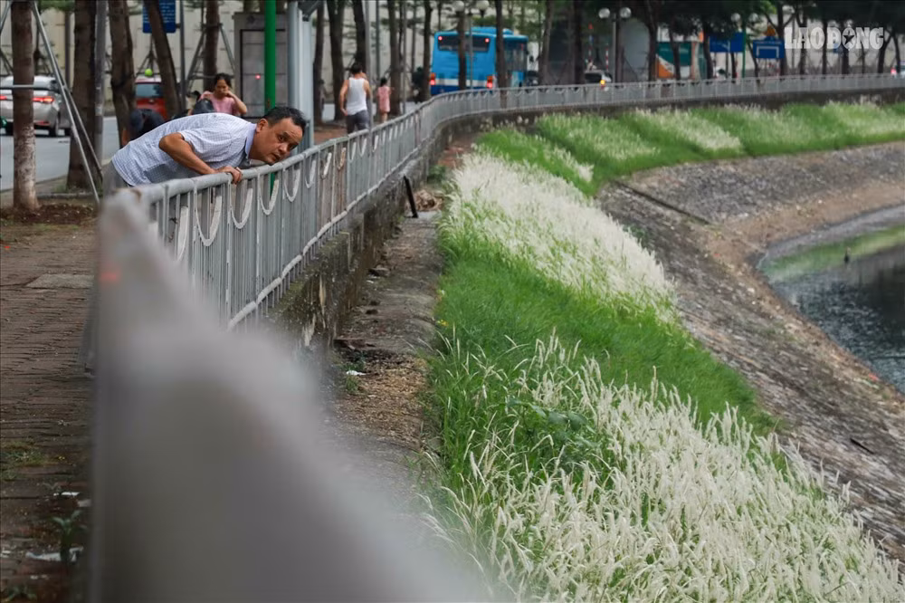 Ông Vũ Văn Toản (Hoàng Quốc Việt, Cầu Giấy) chia sẻ: "Trước lúc cải tạo sông này bẩn lắm, thối không ngửi nổi. Sạch được như thế là may rồi. Người dân chúng tôi sống ở đây mấy chục năm chưa bao giờ dám mơ nước sông hết thối. Mấy ngày nay theo đánh giá của tôi nước không những đỡ đen mà còn giảm mùi thối rất nhiều".