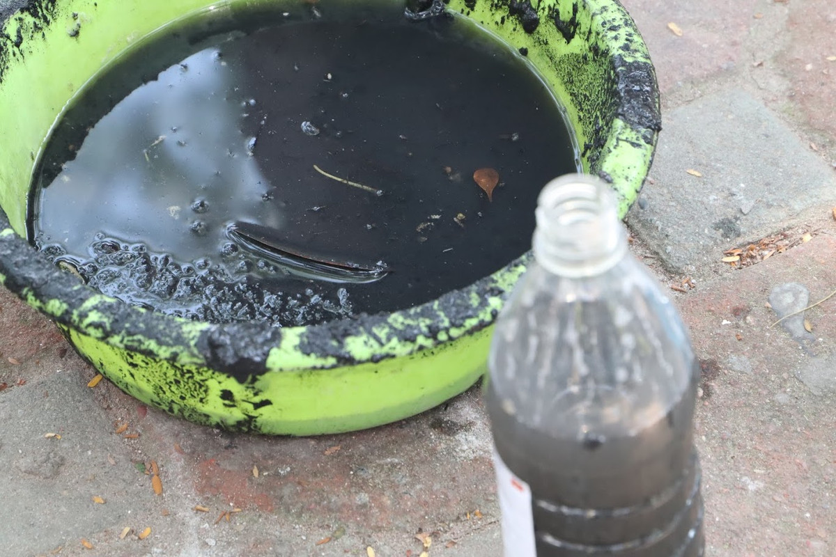 Chậu nước được lấy tại nơi chưa đặt máy Nano.