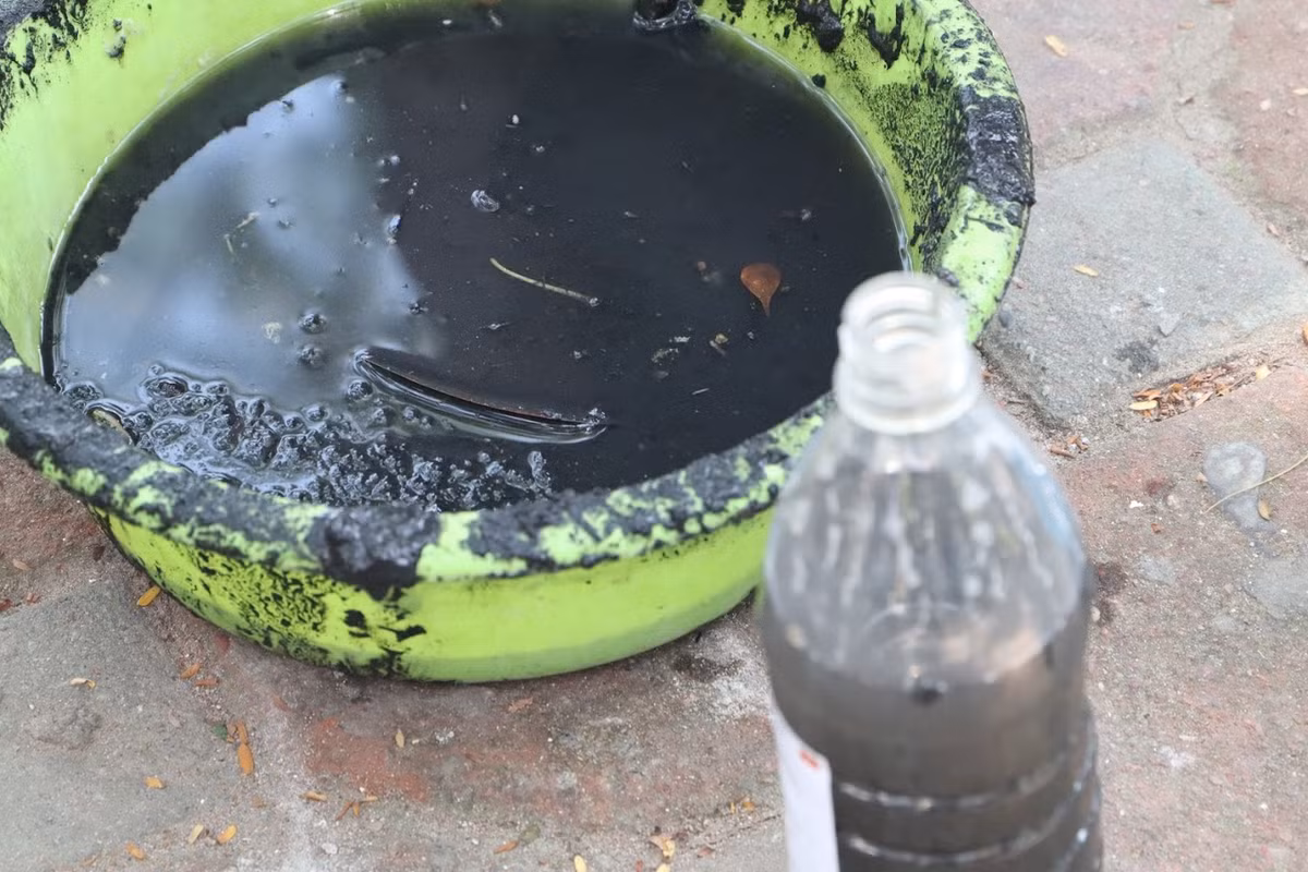 Chậu nước được lấy tại nơi chưa đặt máy Nano.