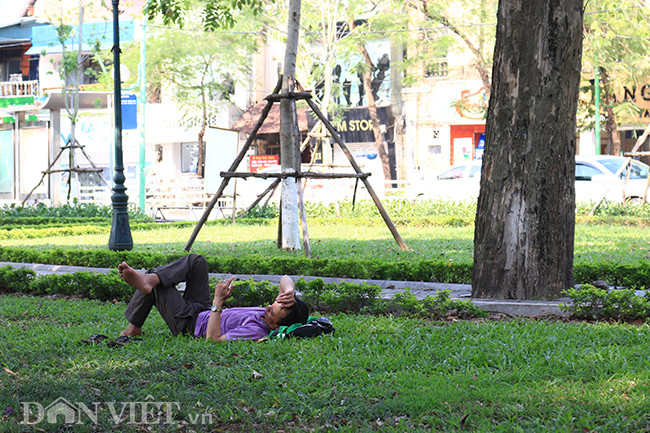 Thảm cỏ trong công viên trở thành nơi nghỉ trưa lấy sức của nhiều người.