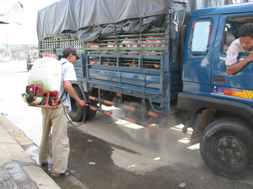 Rất nhiều trạm kiểm dịch được thành lập để kiểm soát nạn dịch. Ảnh: Tăng cường kiểm dịch tại xã Hòa Phước, huyện Hòa Vang, TP Đà Nẵng.