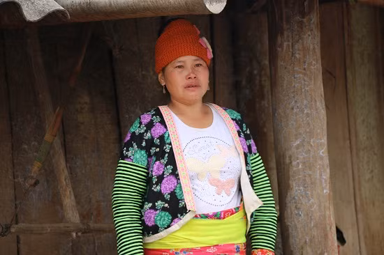 Chị Mùa Thị Dở rưng rưng nước mắt đứng nhìn đàn lợn của mình bị bắt đi tiêu hủy theo quy định. Gia đình chị Dở chủ yếu làm nương rẫy trồng trọt và chăn nuôi lợn.