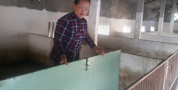 Người phụ nữ cho biết thêm: “Giờ ngày nào cũng có người đến đến đòi tiền cám, tiền con giống khiến gia đình tôi buộc phải rao bán trại. Mà cũng chỉ là cái trại không, trống rỗng thôi. Nhà thì sổ đỏ đang nằm trong ngân hàng nên không bán được, tôi đang sợ bán trại đi thì sau này lấy gì mà sống...”