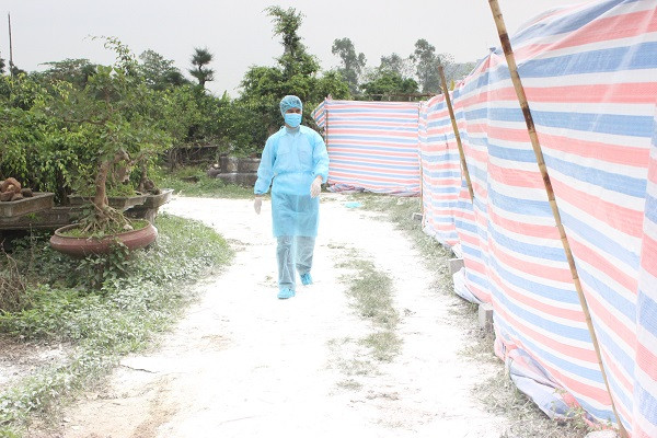 Từng con đường thôn quê trắng xóa vôi bột khử trùng.