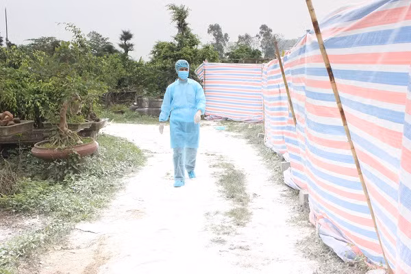 Từng con đường thôn quê trắng xóa vôi bột khử trùng.