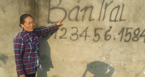 Bà Gương (xã Hải Đông, huyện Hải Hậu, Nam Định) sụt sùi nói: "Nhà tôi từng nuôi khá nhiều lợn nhưng từ khi khủng hoảng giá lợn rồi cuối năm vừa rồi lại bị dịch lở mồm long móng khiến gia đình rơi vào “vực thẳm”. Chưa hết, đến đợt dịch tả lợn châu Phi vừa qua, hơn 400 con lợn của gia đình bị nhiễm dịch tả phải đi tiêu hủy".