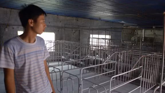 Chuồng trại hơn 700m2 trắng vôi bột tại nhà anh Đinh Thế Thảo (thôn Hữu Đô Kỳ, xã Đông Đô, huyện Hưng Hà, Thái Bình). Anh Thảo cho biết hơn 10 lần gọi cán bộ thú y đến tiêu hủy lợn đã khiến anh đang gánh nợ 1,3 tỷ đồng nhưng chưa nhận được tiền hỗ trợ. Điều đáng nói, xã Đông Đô là địa phương đầu tiên phát hiện ổ dịch tả lợn châu Phi của cả nước (13/2).