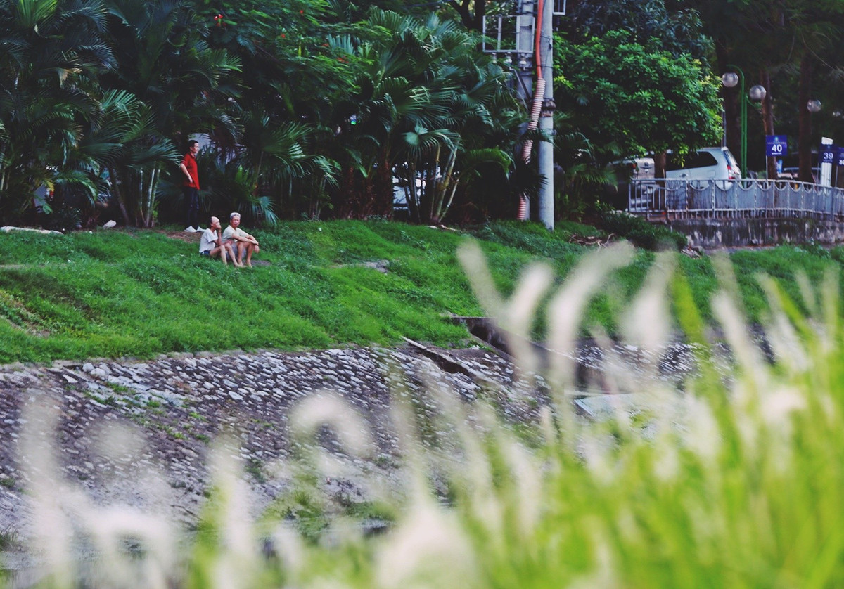 Hoặc ngồi thư thái từ bên bờ bên kia ngắm những bụi cỏ lau bên này bờ.