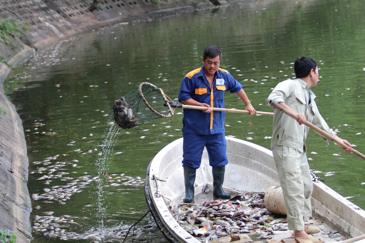 Ha Noi: Ca chet hang loat dat vao bo o ho Tay