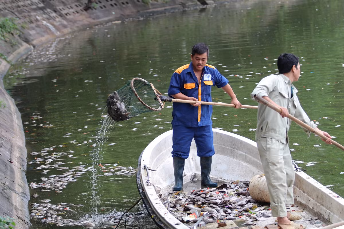 Ha Noi: Ca chet hang loat dat vao bo o ho Tay