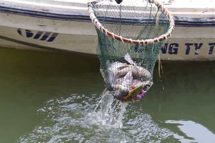 Ha Noi: Ca chet hang loat dat vao bo o ho Tay-Hinh-19