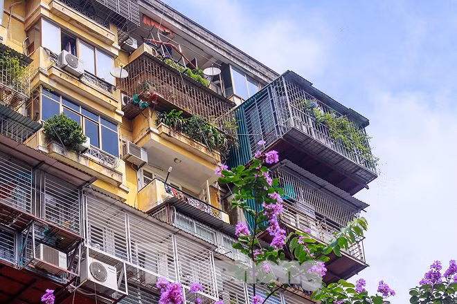 'Chuong cop' bao phu khu chung cu dac dia Thu do-Hinh-8