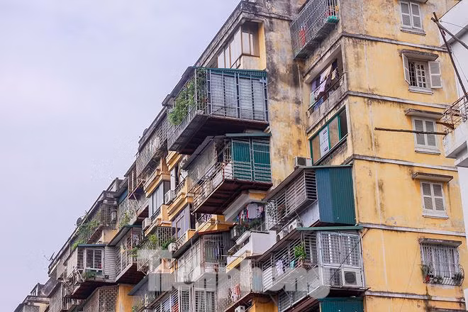 'Chuong cop' bao phu khu chung cu dac dia Thu do-Hinh-5