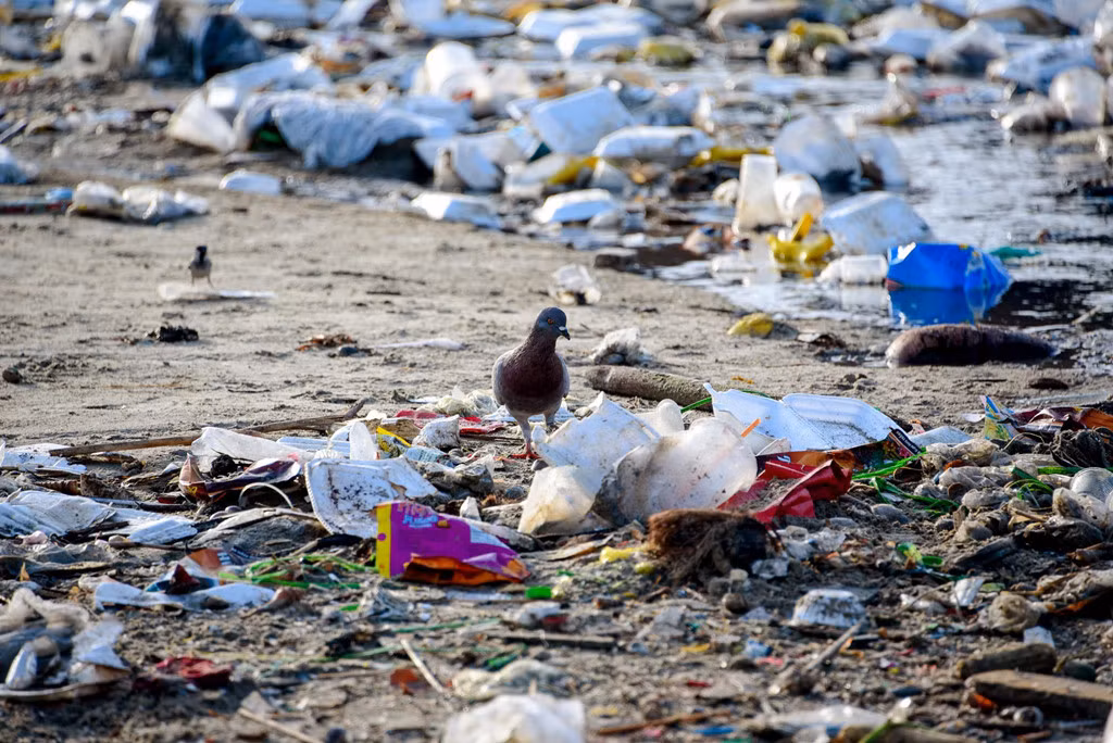 Đứa trẻ mưu sinh nhặt phế liệu ở Bình Thuận. “Tôi mong muốn câu chuyện của mình được lan toả và truyền cảm hứng mạnh mẽ tới cộng đồng, nhằm góp phần thay đổi nhận thức, nâng cao ý thức và thúc đẩy những hành động tích cực của mỗi cá nhân cũng như góp một tiếng nói của một công dân tới các cơ quan quản lý, ban hành chính sách trong cuộc chiến chống lại rác thải nhựa, cứu đại dương”, nhiếp ảnh gia Lekima Hùng chia sẻ tại buổi khai mạc.