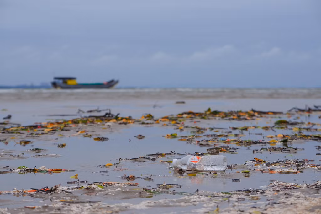 Tác phẩm Chim tìm kiếm thức ăn trên bãi biển Vũng Tàu. Với hơn 3.000 km đường bờ biển dọc theo chiều dài đất nước, mỗi năm Việt Nam xả ra đại dương khoảng 0,28 đến 0,73 triệu tấn rác thải nhựa qua 112 cửa sông. 80% lượng rác thải biển của Việt Nam xuất phát từ các hoạt động trên đất liền. "Các con số cho thấy, chúng ta phải hành động ngay trong cuộc chiến chống rác thải nhựa nhằm cải thiện tình trạng trên", anh Hùng nói.