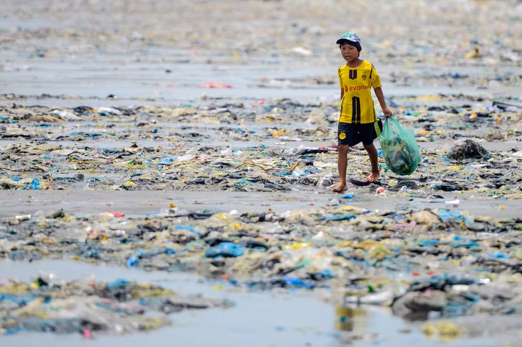 Đến dự buổi khai mạc triển lãm có Đại sứ Đặc mệnh toàn quyền Hà Lan, Tham tán Đại sứ quán Canada, đại diện các tổ chức Liên Hợp quốc, Bộ Tài nguyên Môi trường... Trong ảnh là một bãi biển thuộc tỉnh Nam Định.