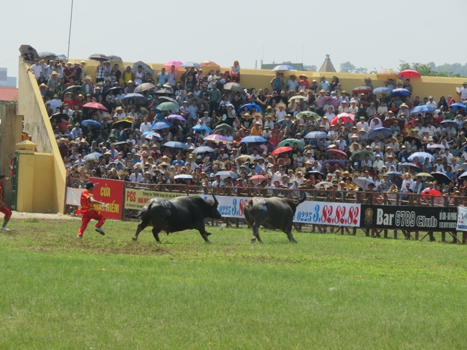 Màn rượt đuổi quyết liệt khiến khán giá thích thú.