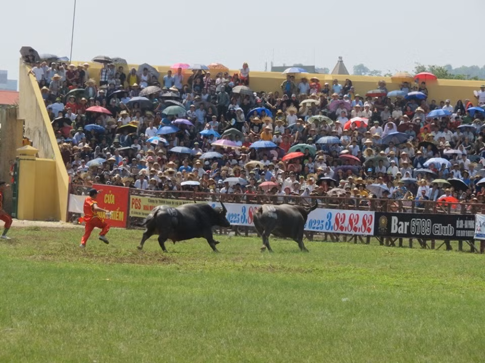 Màn rượt đuổi quyết liệt khiến khán giá thích thú.