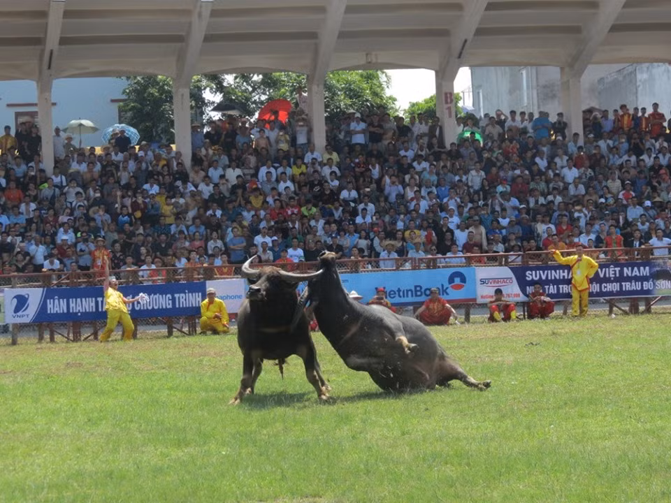 Một cú "móc hầu" hiểm hóc.