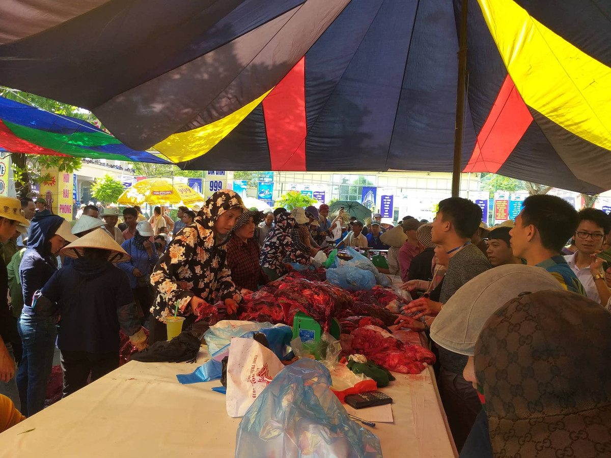 Tuy nhiên, tất cả các ông trâu dù thắng, thua sau đó đều bị xẻ thịt bán cho du khách.