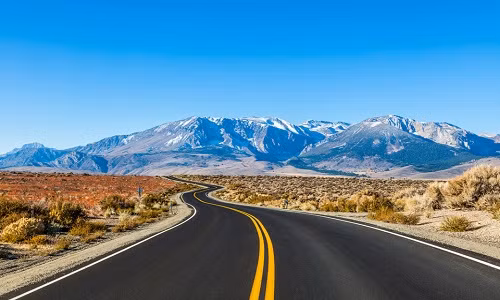 Du lịch bằng đường bộ: Bạn có thể chọn chuyến du lịch bằng đường bộ với phương tiện di chuyển là ôtô xuyên nước Mỹ, Úc hay châu Âu để thăm các thành phố, công viên quốc gia. Ngoài ra, du khách còn có cơ hội gặp được nhiều người bạn mới. Không ít khách du lịch chọn đi bằng đường bộ để dừng chân lâu hơn tại một địa điểm đẹp mà bản thân ưa thích. Đây cũng là cách để bạn tự chủ động tìm nơi ăn, chốn ở, đường đi trong suốt hành trình. 