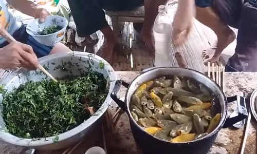 Video: Sung sot nhom dan ong an ca “nhay” boi trong chau