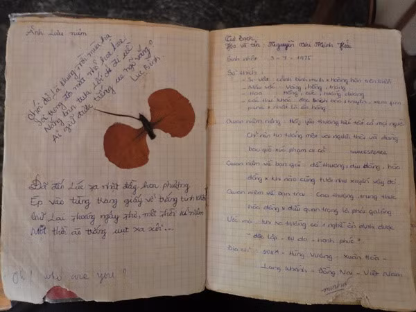 Những dòng tâm sự dài cả trang giấy, những câu thơ lãng mạn được ghi chép cẩn thận. Những con bướm được làm tư hoa phượng ép khô trong trang giấy.